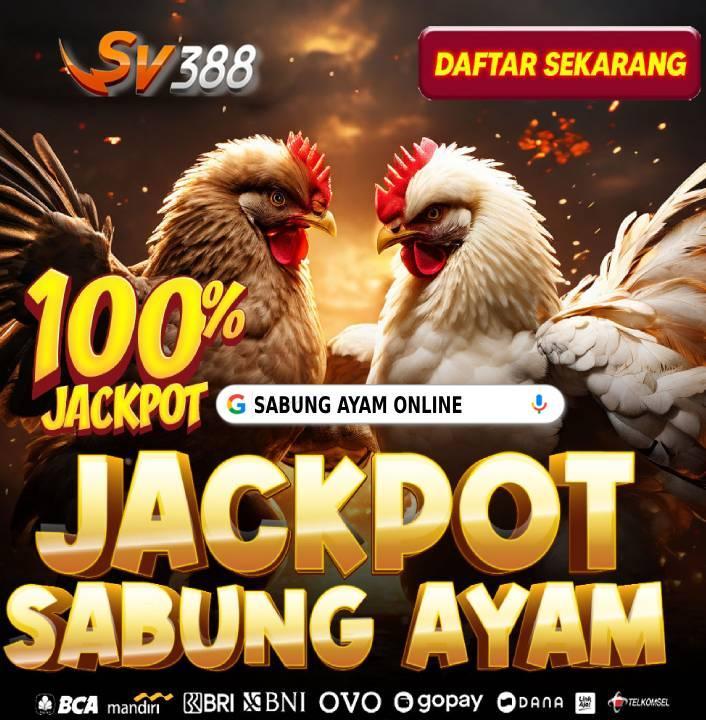 Situs Jackpot 24 Jam: Tempat Bermain Judi Online Terbaik